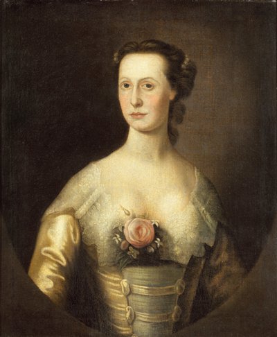Mrs Philip John Schuyler by Thomas McIlworth